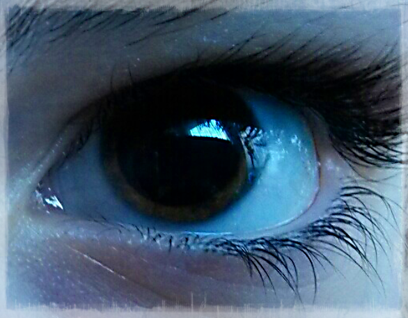 Das Auge
